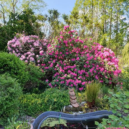 Ferienwohnung Gartenblick Westerstede Eksteriør billede