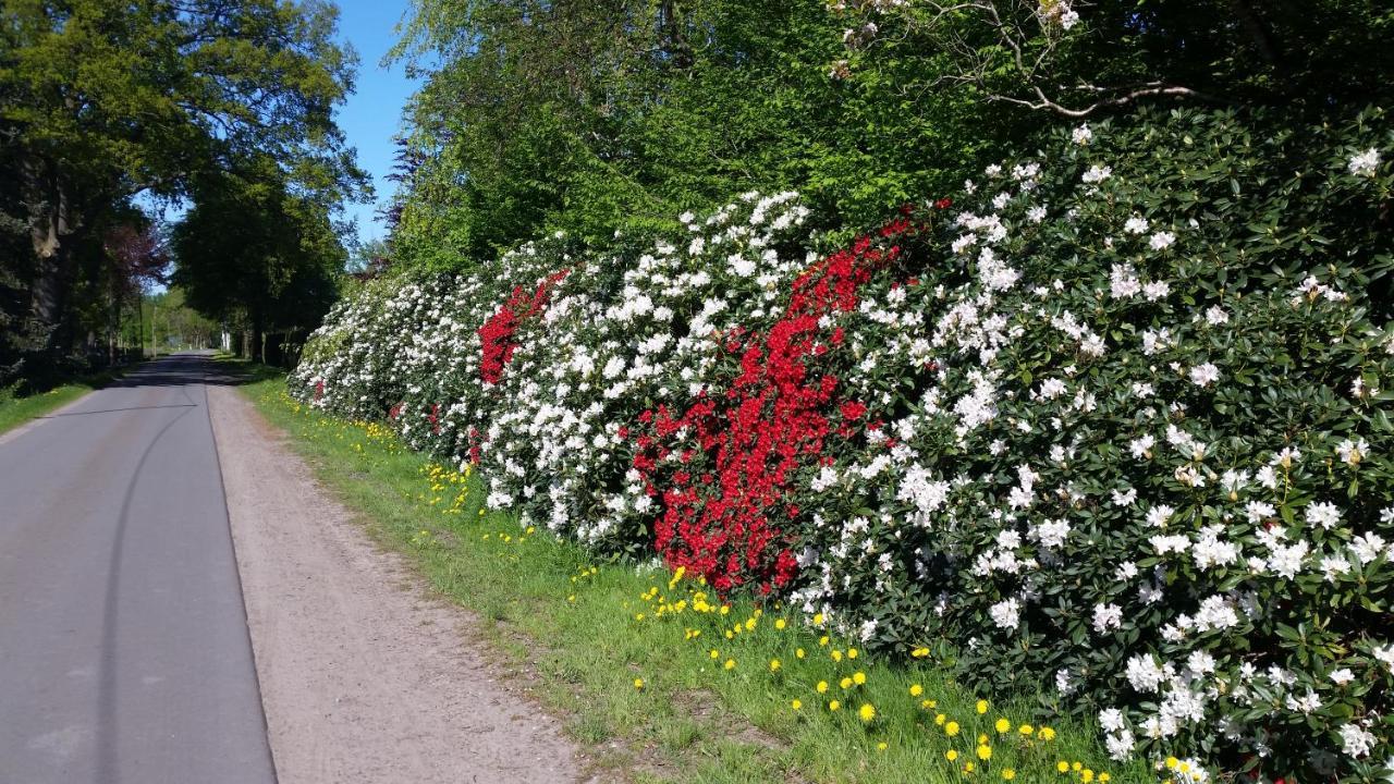Ferienwohnung Gartenblick Westerstede Eksteriør billede