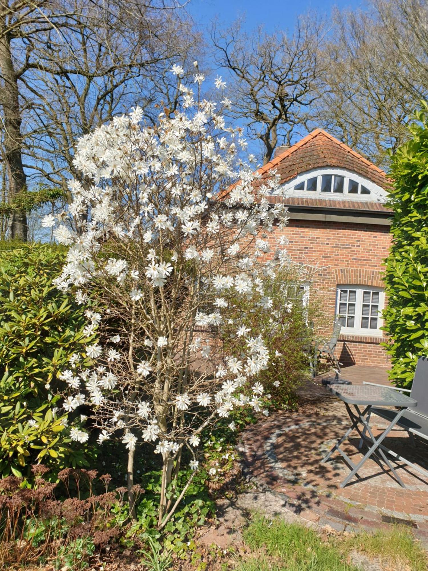 Ferienwohnung Gartenblick Westerstede Eksteriør billede
